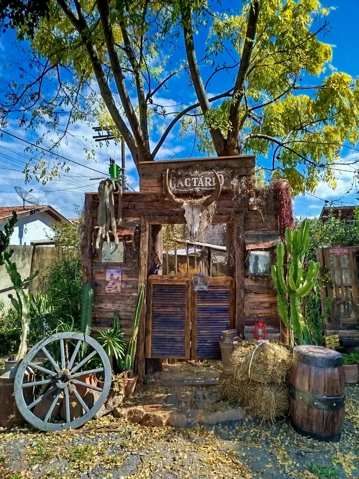 Entrada de madeira do Cactário em estilo velho oeste, com porta de saloon, caveira de boi, roda de carroça, fardo de feno, barril e cactos em volta