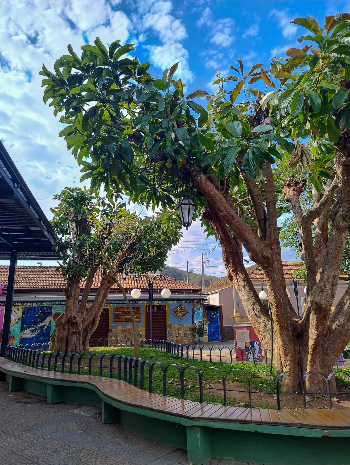 Árvore de tronco retorcido com banco circular de madeira em volta, na Praça Monsenhor Pedro, com os quiosques pintados atrás